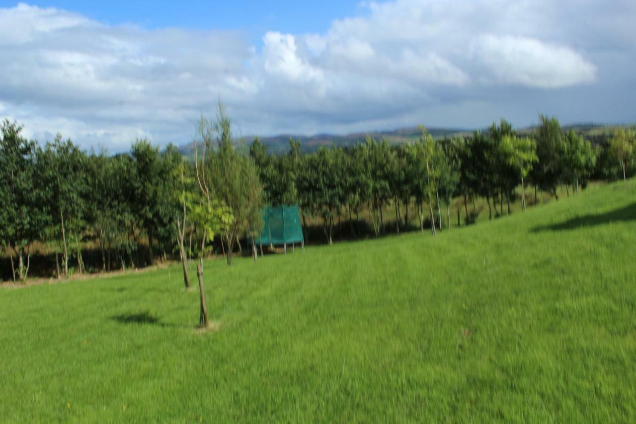 Bunlin Heights Self Catering Studio Milford Exteriör bild